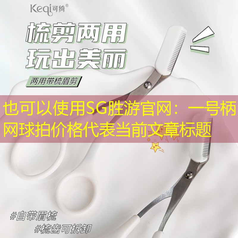 一号柄网球拍价格